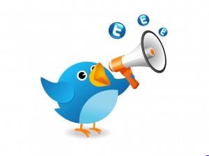 How To Get More Targeted Traffic To Your Website Using Twitter 2