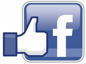 facebook-like